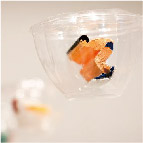 “Floating Object” by Xiang Yang